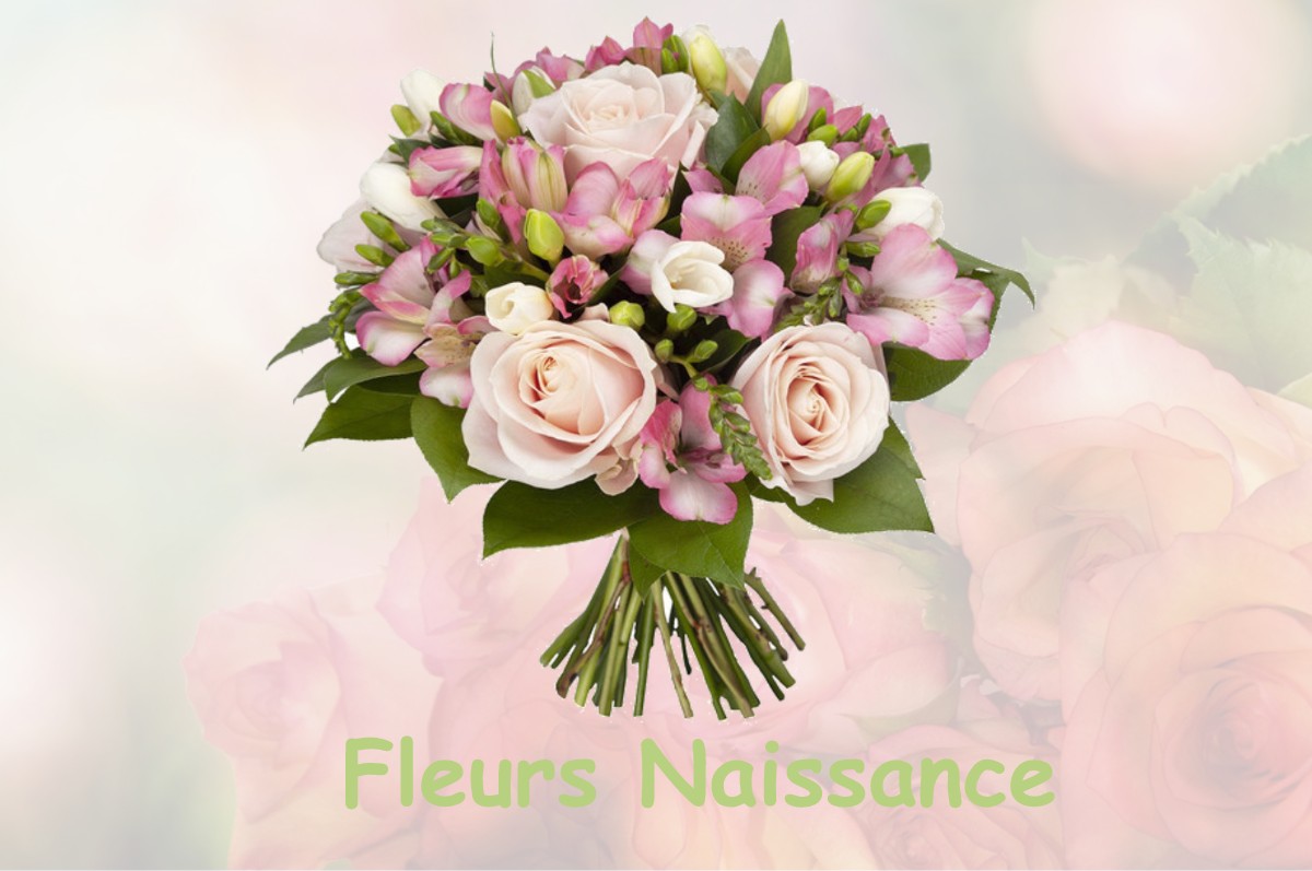 fleurs naissance BURTHECOURT-AUX-CHENES