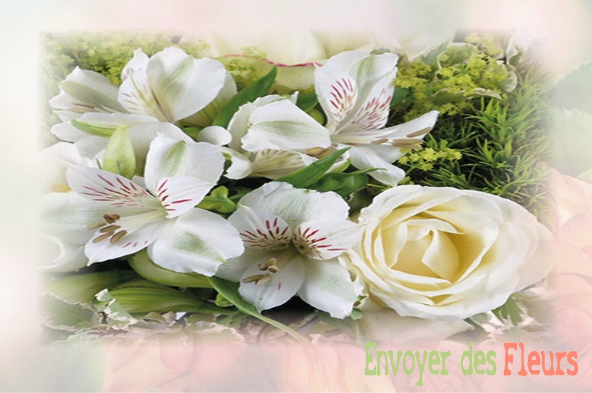 envoyer des fleurs à à BURTHECOURT-AUX-CHENES